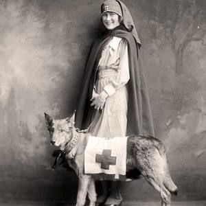 Meet your Posher, Lilly